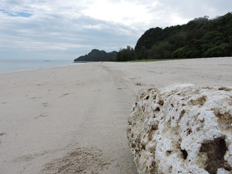 Lone Pine, Penang, A Tribute Portfolio Resort Batu Ferringhi Exterior photo